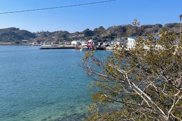 坂の上から木々越しに望む由良の海と集落