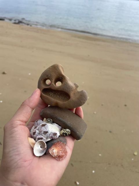 浜で拾った貝殻で作った小さな置きもの